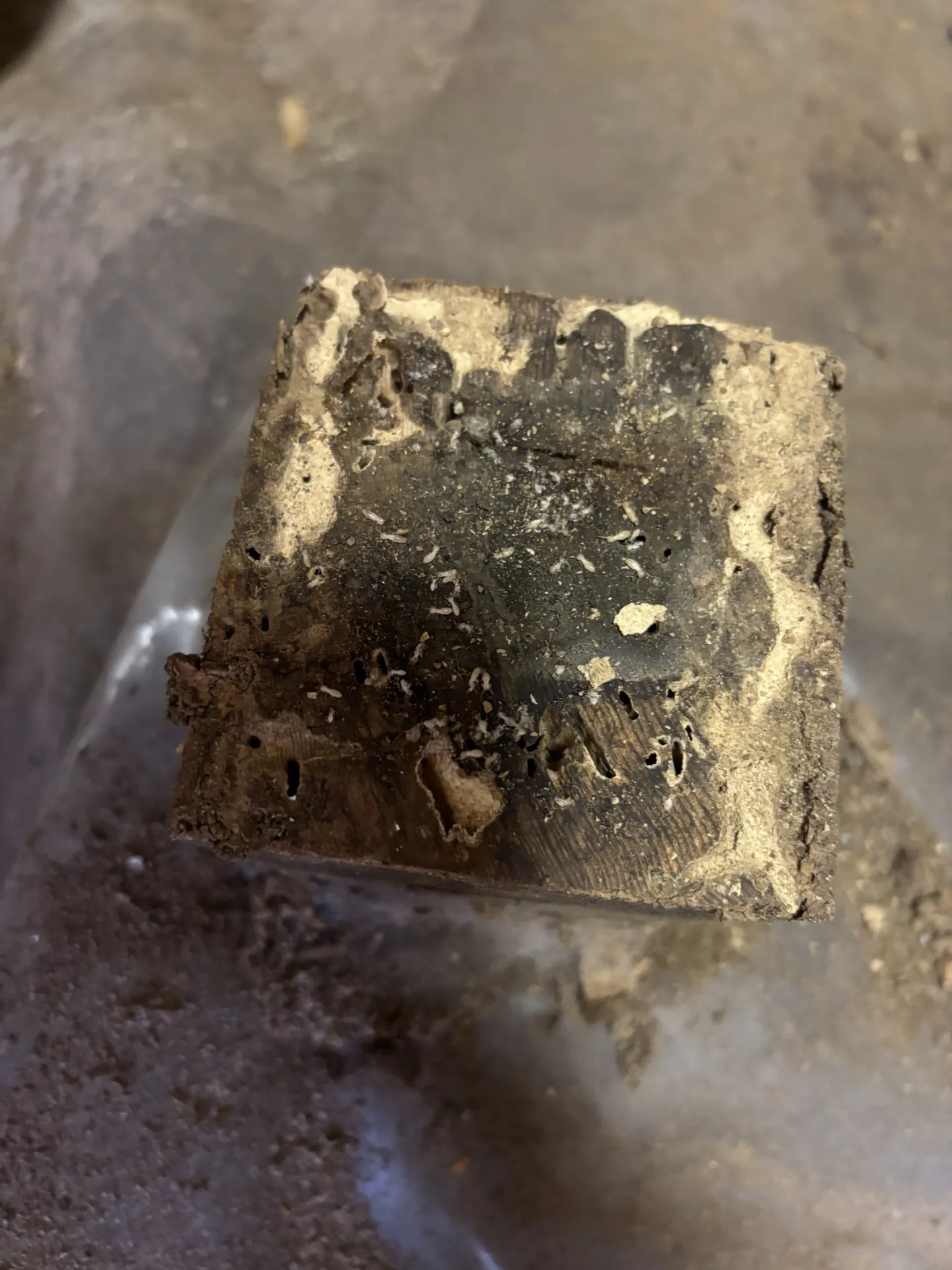 福島県　いわき市　　内装リフォーム　 床・クロス工事