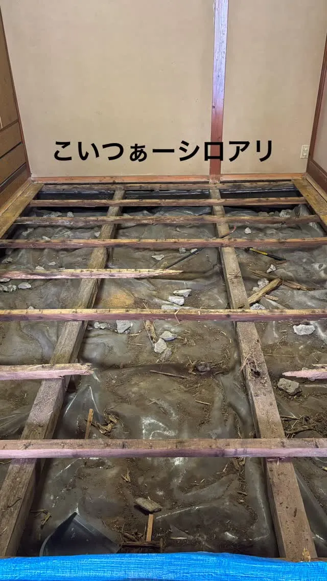 いわき市　床工事　
